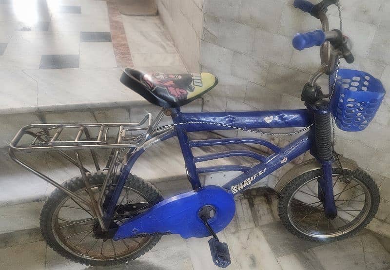 kids bicycle 1