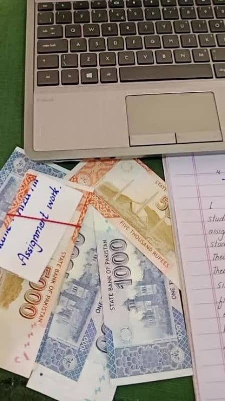 Hand Writing Assignment Work,Data Entry Or Ms Typing Job 0