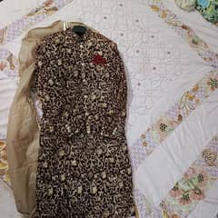 groom sheerwani