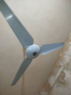 fan for sell