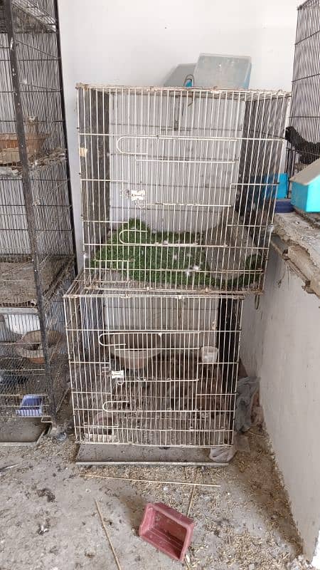 8 portion cage for sale urgent 1