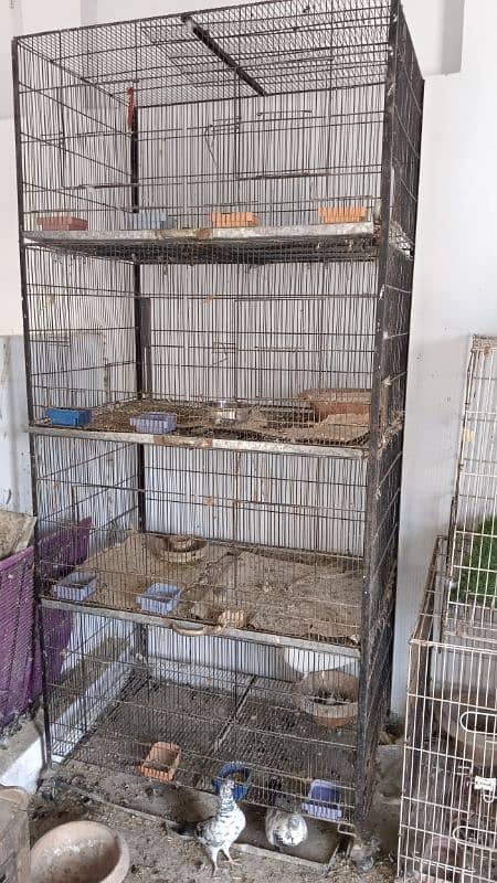 8 portion cage for sale urgent 2