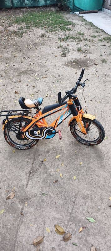 us company cycle for 5-8 years kids 1