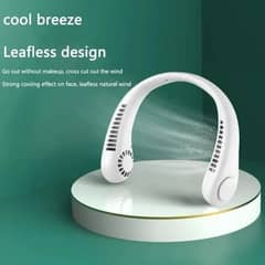 Mani portable recharging nick fan