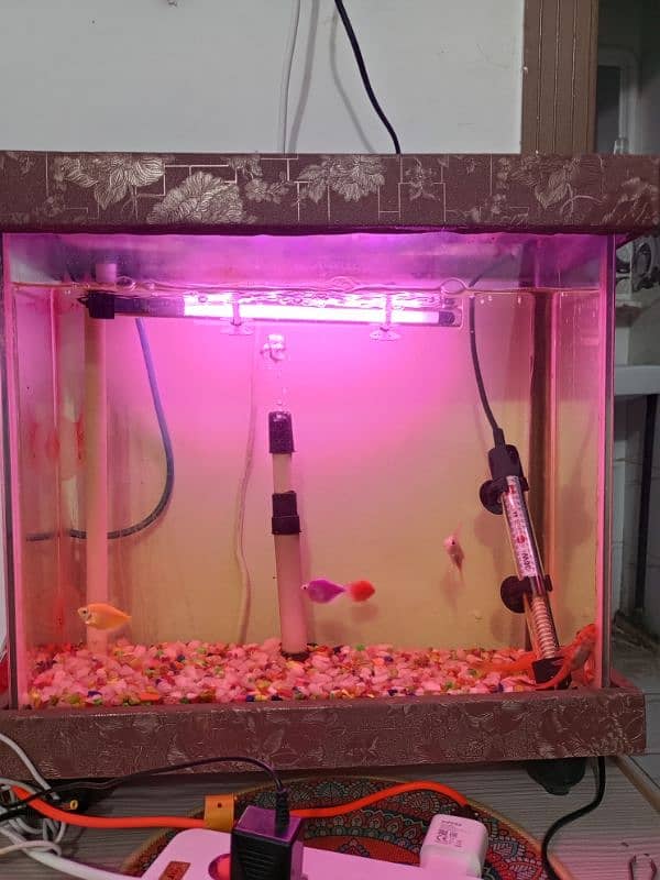 acuaqiam for sale 0