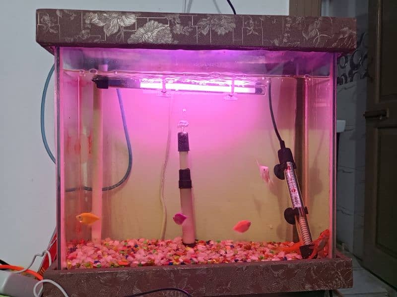 acuaqiam for sale 1
