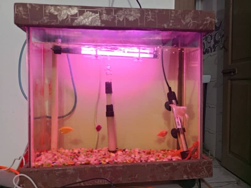 acuaqiam for sale 2