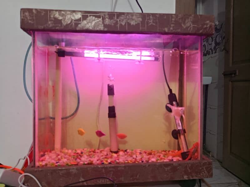acuaqiam for sale 3