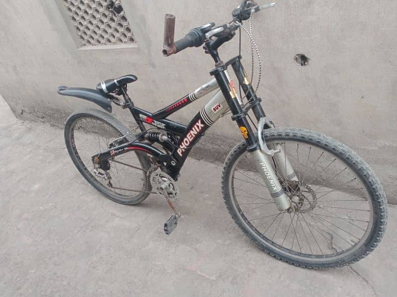phoenix mountain cycle 1