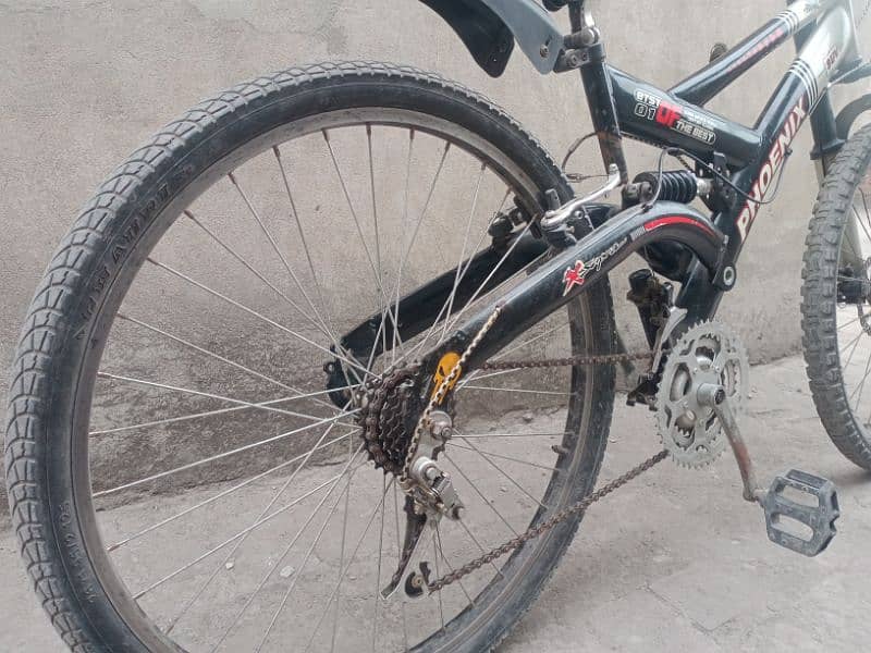 phoenix mountain cycle 5