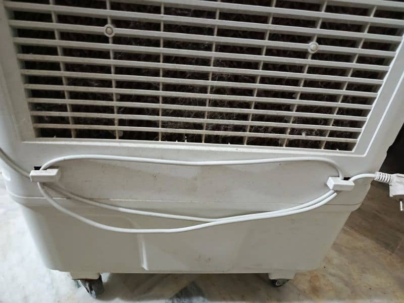 Anex Cooler 5