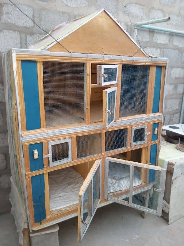 Birds Cage 1
