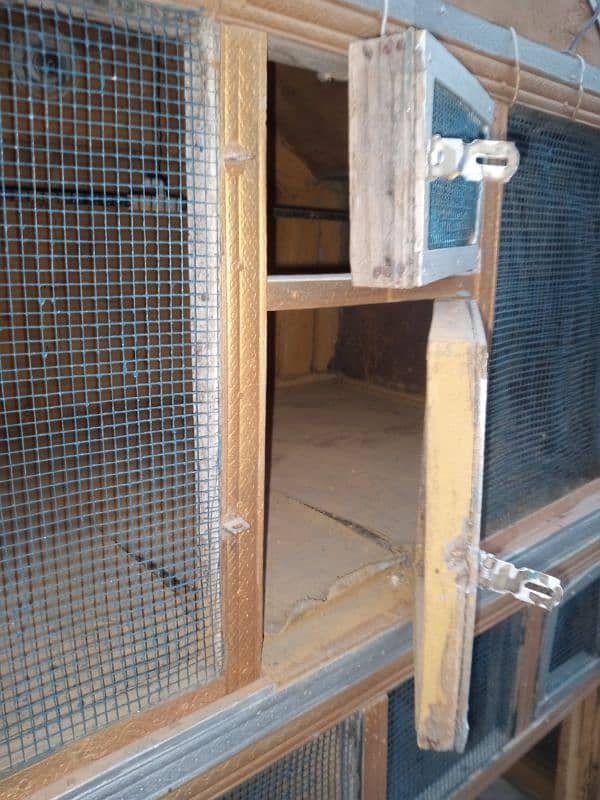 Birds Cage 2