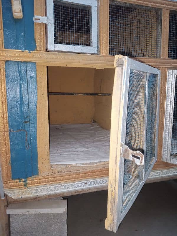Birds Cage 3