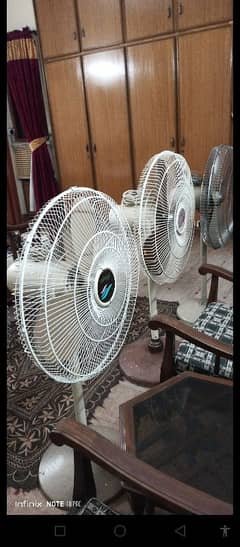 pedestal Fan in Quantity