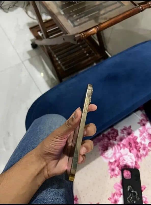 message me on WhatsApp number [+92 347 1254672] 2