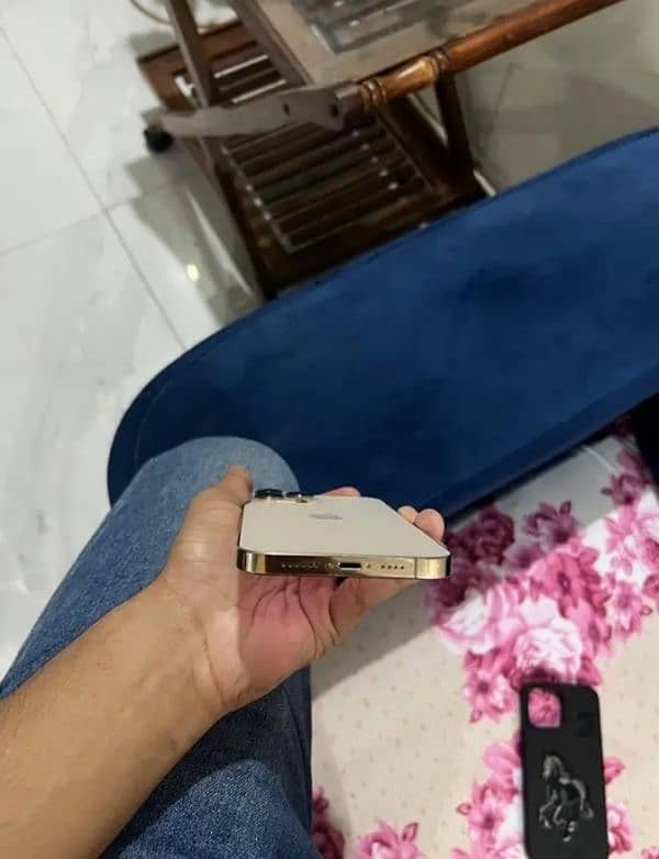 message me on WhatsApp number [+92 347 1254672] 4