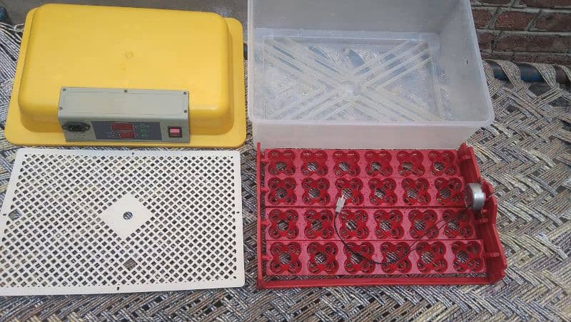 Automatic Incubator 3