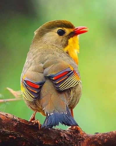 job required for myself