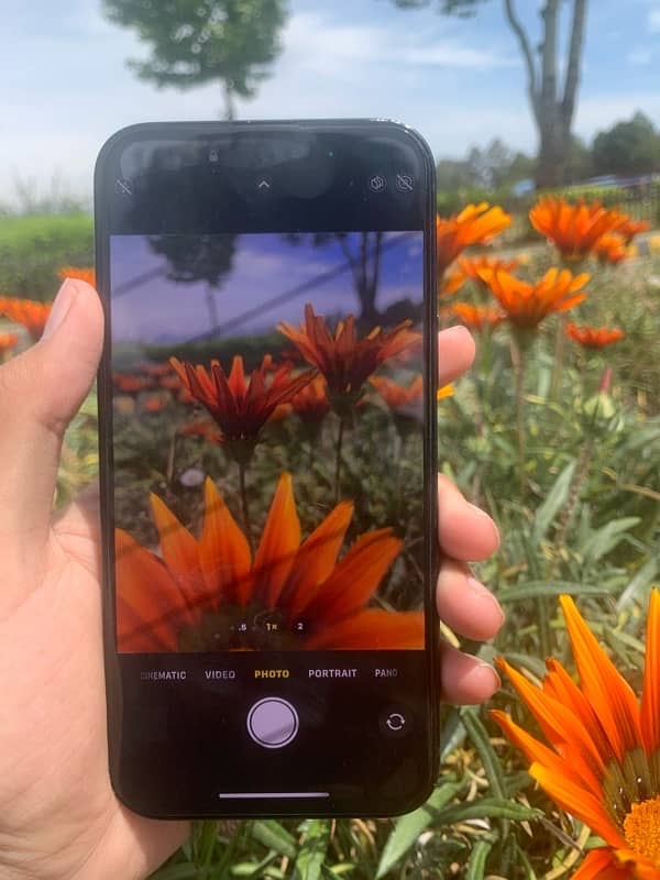 iPhone 15 plus factory unlock 128gb 8