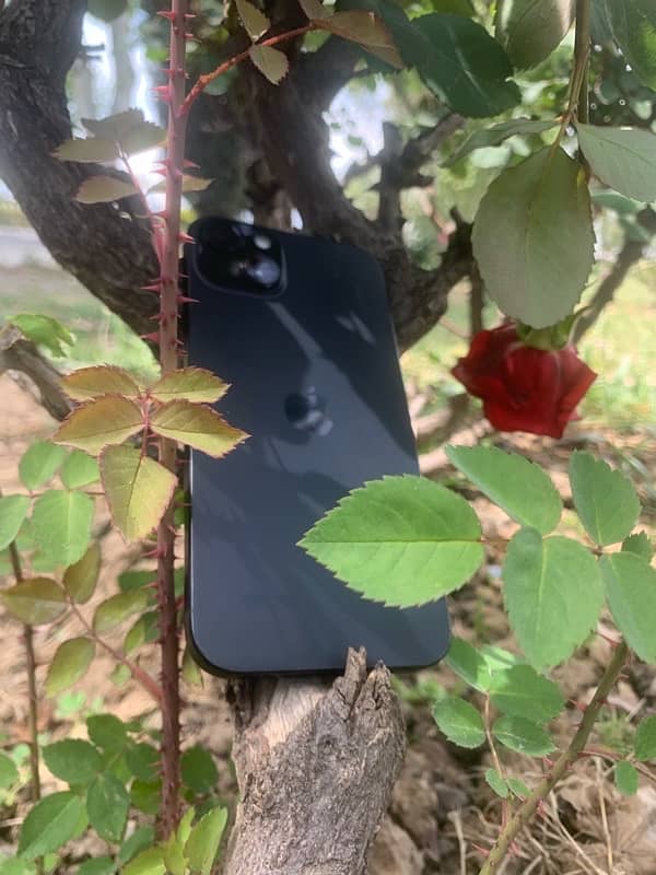 iPhone 15 plus factory unlock 128gb 13
