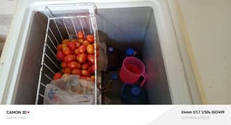 Waves Freezer