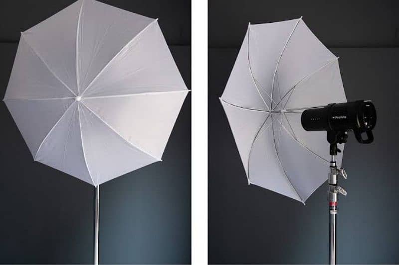Studio Lights D650 | Umbrella, Stand, Trigger, Bag – 10/10 4
