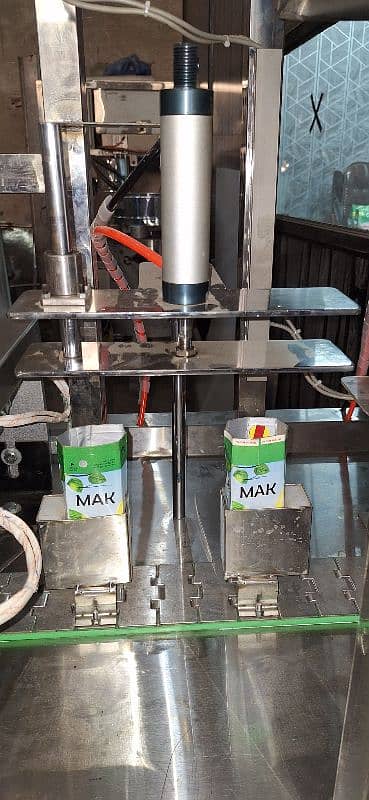 Tetra Pak and Bottle juice Filling Packing Machine in SS Plant 3