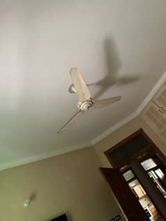 ceiling fans pure copper