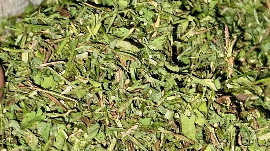 Dry Losan | Rabbit feed | Goat Farming Food | Horses Farming Food | 0