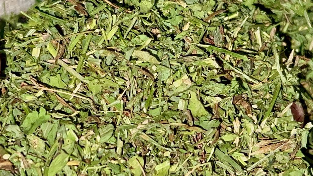 Dry Losan | Rabbit feed | Goat Farming Food | Horses Farming Food | 1