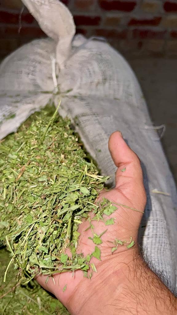 Dry Losan | Rabbit feed | Goat Farming Food | Horses Farming Food | 2