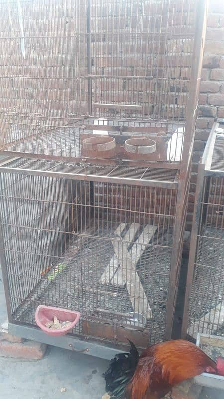 Heavy iron cages with trays best for hens, parrot and peogen. 2
