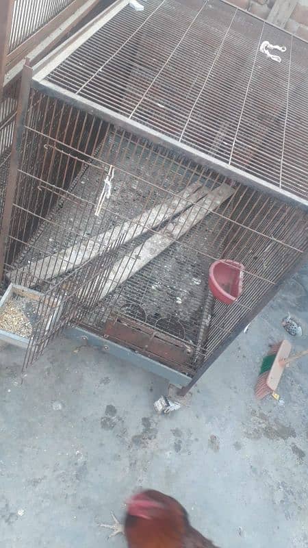 Heavy iron cages with trays best for hens, parrot and peogen. 3
