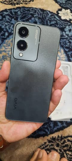 VIVO