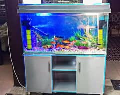 Brand New Fish Aquarium And Fishes