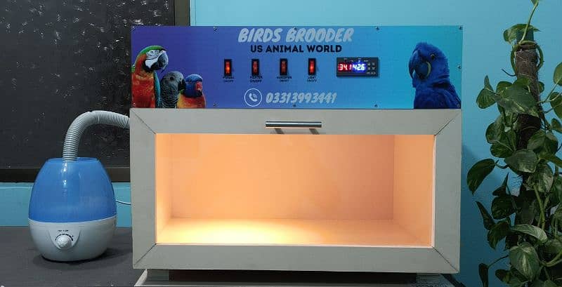Birds Brooder Designed for Parrot Only 0