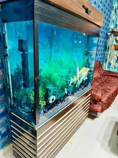 Fish