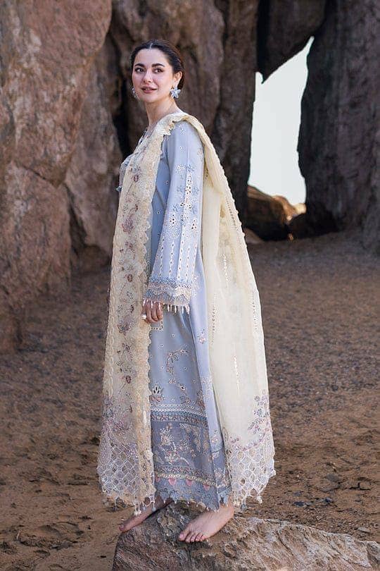 Bylyne Luxury Chicken kari 3piece lawn with organza embroidred duppata 1