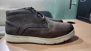 Redwing