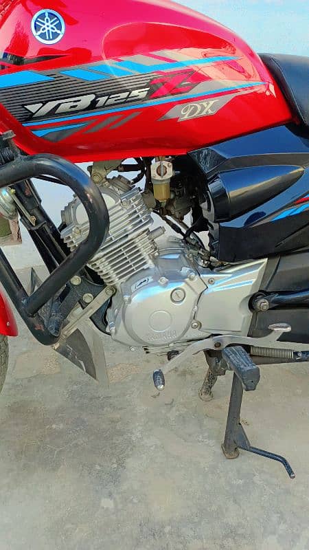 Yamaha yb125z 2019 1
