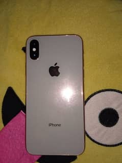 64