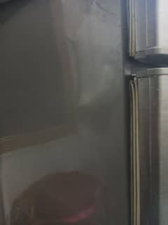PEL