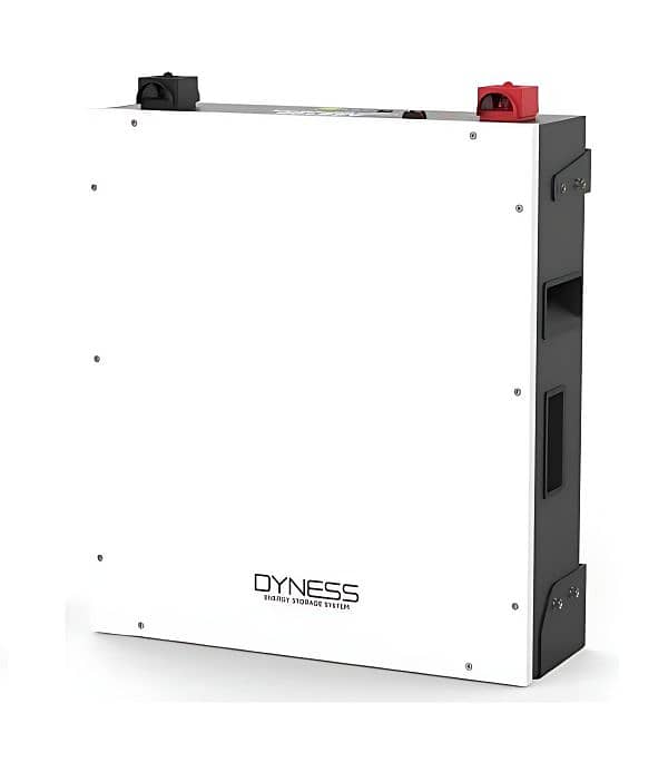 Dyness 8000 Cycle Lithium ion Battery 48V|51.2V 100Ah 1