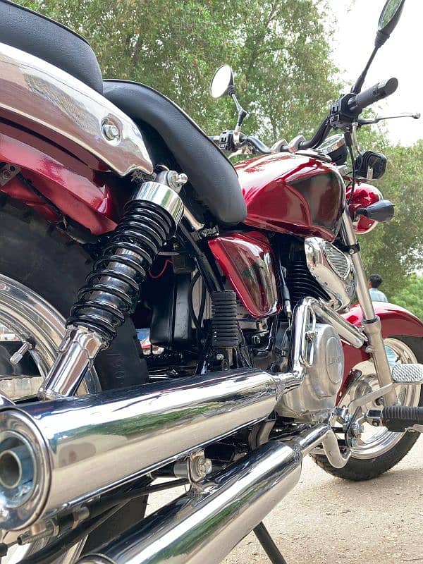 custom build cruiser 250 3