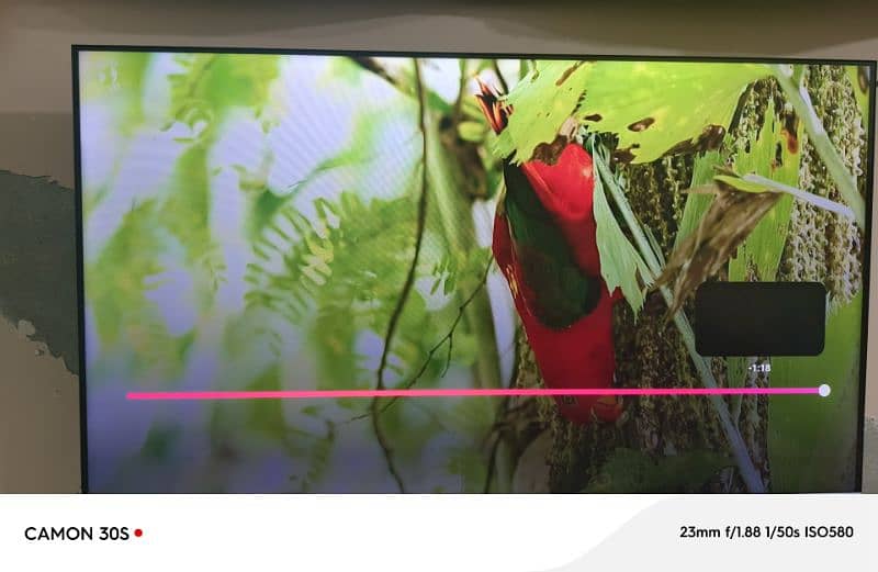 TCL Q LED 0
