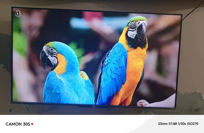 TCL Q LED 2