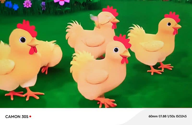 TCL Q LED 6