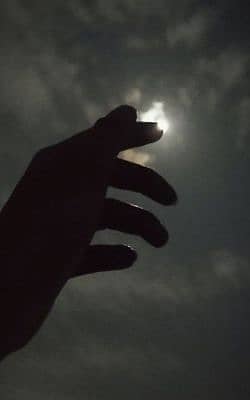 Ali bhai