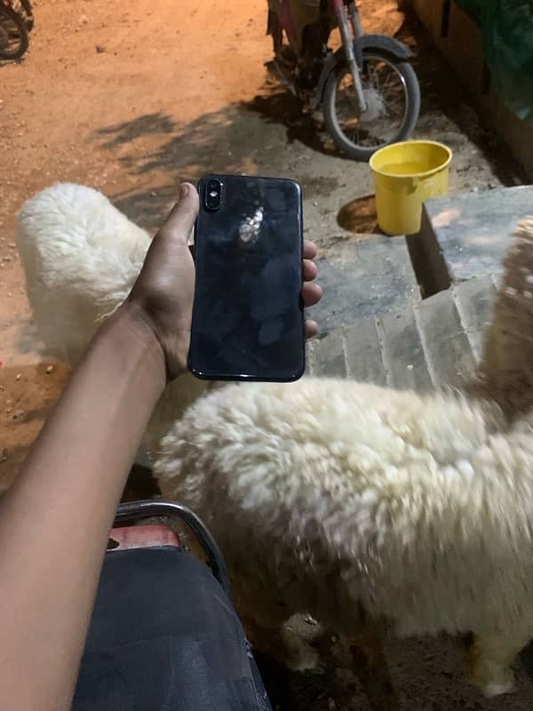 iphone X PTA 64 gb only panel chng but orgnl 4